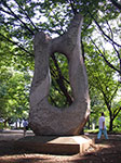 IMGP4835.jpg