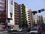 IMGP4837.jpg
