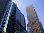 IMGP4839.jpg
