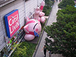 IMGP4853.jpg