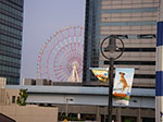 IMGP4864.jpg
