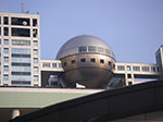 IMGP4884.jpg