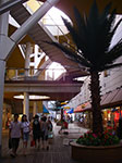 IMGP4894.jpg