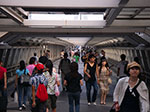 IMGP4895.jpg