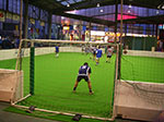 IMGP4908.jpg