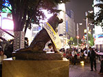 IMGP4913.jpg