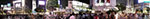 IMGP4929-pan.jpg