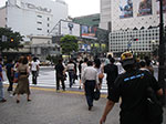 IMGP4976.jpg