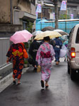 IMGP4979.jpg