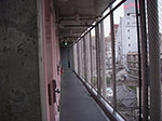 IMGP4985.jpg