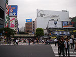 IMGP5020.jpg