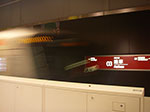 IMGP5030.jpg