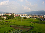IMGP5045.jpg