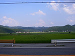 IMGP5076.jpg