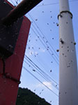 IMGP5078.jpg