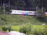 IMGP5081.jpg