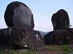 IMGP5082.jpg