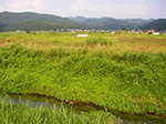 IMGP5086.jpg