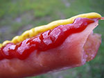 IMGP5093.jpg