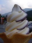IMGP5095.jpg