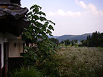 IMGP5097.jpg