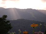 IMGP5104.jpg