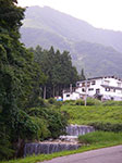 IMGP5117.jpg