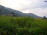 IMGP5120.jpg