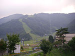 IMGP5129.jpg