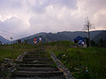 IMGP5131.jpg