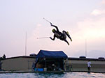 IMGP5146.jpg