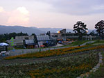 IMGP5350.jpg