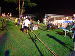 IMGP5378.jpg