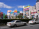 IMGP5417.jpg