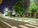 IMGP5429.jpg