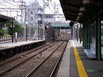 IMGP5441.jpg