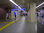 IMGP5443.jpg