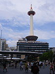 IMGP5446.jpg