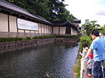 IMGP5456.jpg