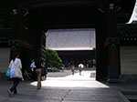 IMGP5458.jpg