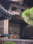 IMGP5463.jpg
