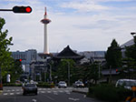 IMGP5464.jpg
