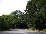IMGP5467.jpg