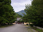 IMGP5472.jpg