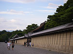 IMGP5480.jpg