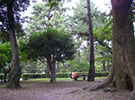 IMGP5486.jpg