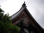 IMGP5492.jpg