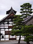 IMGP5493.jpg