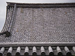 IMGP5495.jpg