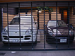 IMGP5498.jpg